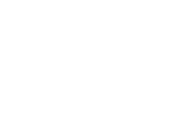 High Desert Scouts